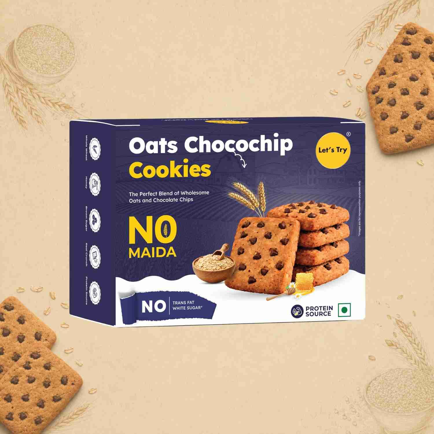 Oats Chocochip Cookies 